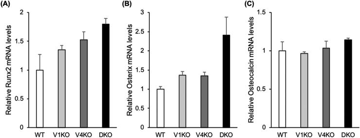 https://cdn.ncbi.nlm.nih.gov/pmc/blobs/b837/7191598/122bf44aaaae/gr5.jpg