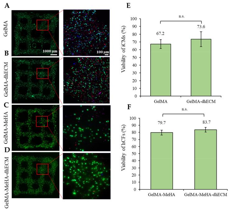 https://cdn.ncbi.nlm.nih.gov/pmc/blobs/b837/8293197/416014375516/gels-07-00070-g005.jpg