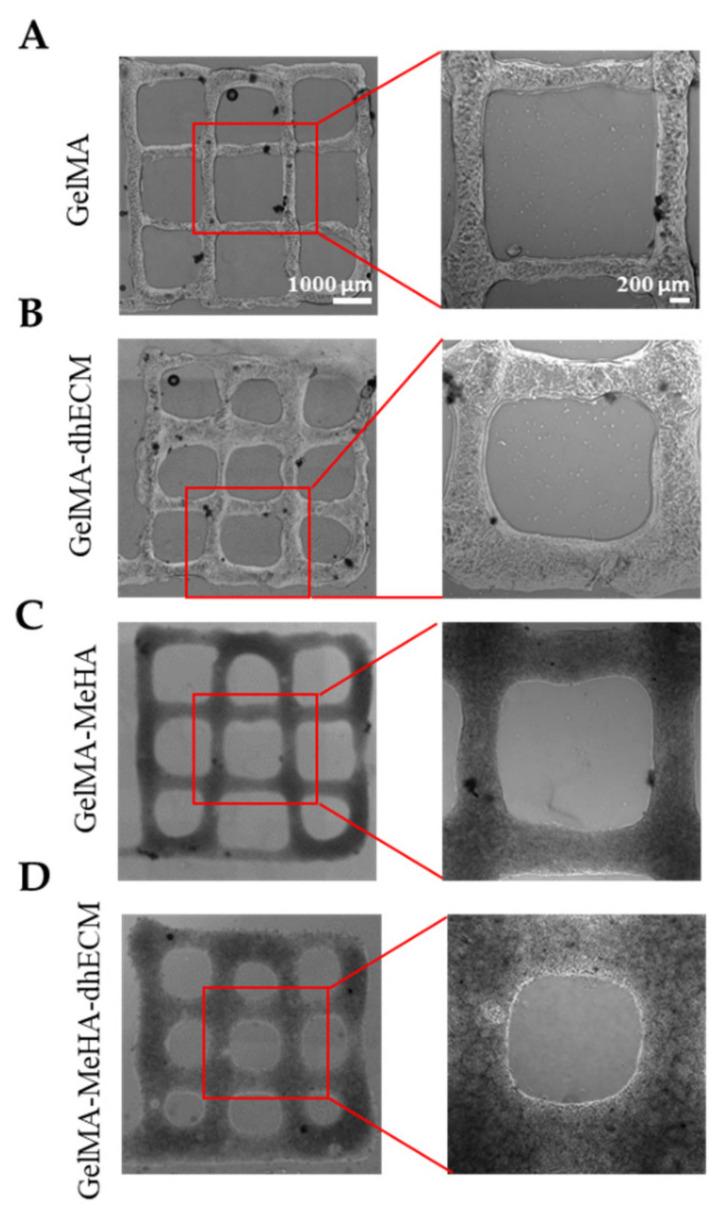 https://cdn.ncbi.nlm.nih.gov/pmc/blobs/b837/8293197/d5cb90993b84/gels-07-00070-g004.jpg
