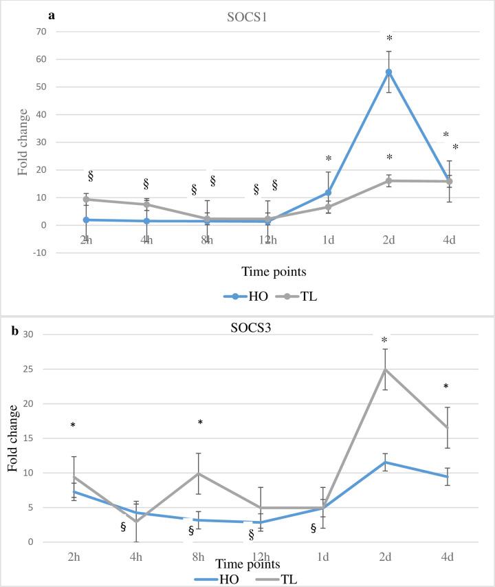 https://cdn.ncbi.nlm.nih.gov/pmc/blobs/b83b/7295227/c80660e946d1/pone.0234479.g003.jpg
