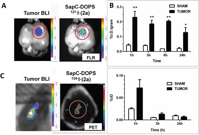 https://cdn.ncbi.nlm.nih.gov/pmc/blobs/b83c/5078058/4570e0edc7d2/oncotarget-07-32866-g006.jpg