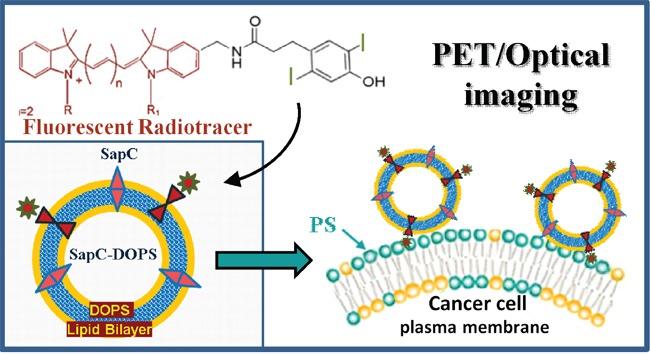 https://cdn.ncbi.nlm.nih.gov/pmc/blobs/b83c/5078058/fc7af57a199b/oncotarget-07-32866-g001.jpg