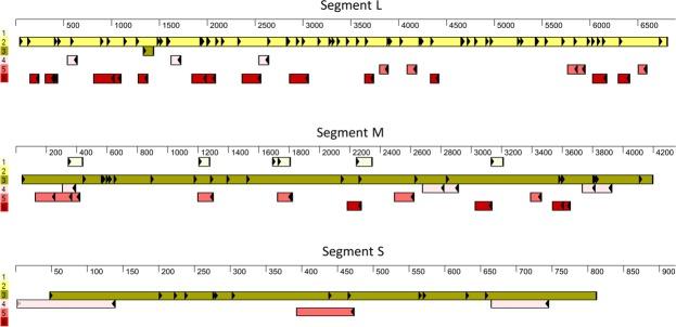 https://cdn.ncbi.nlm.nih.gov/pmc/blobs/b83c/6399452/8af39bd45827/41598_2019_40036_Fig4_HTML.jpg