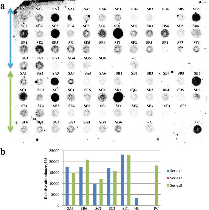 https://cdn.ncbi.nlm.nih.gov/pmc/blobs/b840/8131364/9942278961fe/41598_2021_90050_Fig1_HTML.jpg
