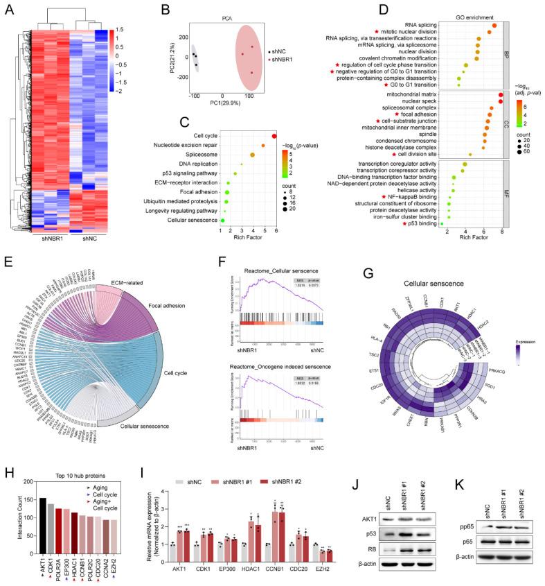 https://cdn.ncbi.nlm.nih.gov/pmc/blobs/b842/10758090/0b379e5a0a6d/ijbsv20p0701g004.jpg