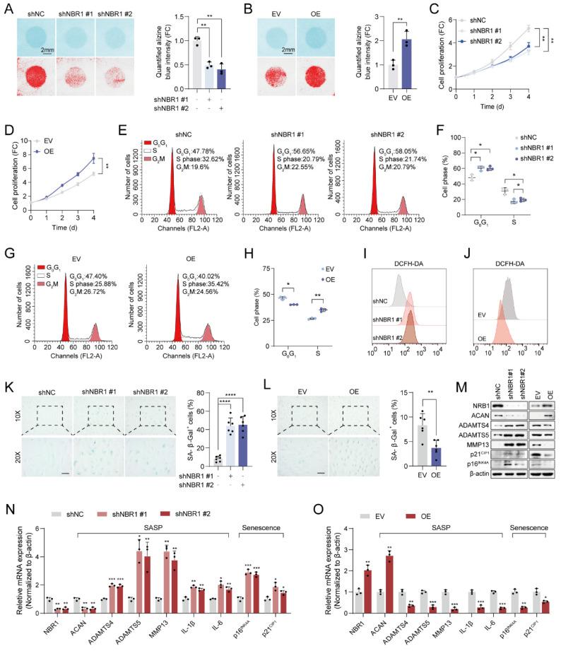 https://cdn.ncbi.nlm.nih.gov/pmc/blobs/b842/10758090/380389364279/ijbsv20p0701g002.jpg