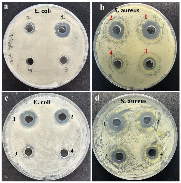 https://cdn.ncbi.nlm.nih.gov/pmc/blobs/b842/11173888/dd2032212257/molecules-29-02640-g009.jpg