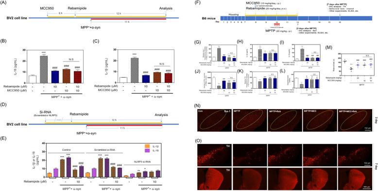 https://cdn.ncbi.nlm.nih.gov/pmc/blobs/b842/12085015/013ca0acf2c9/12974_2025_3461_Fig4_HTML.jpg