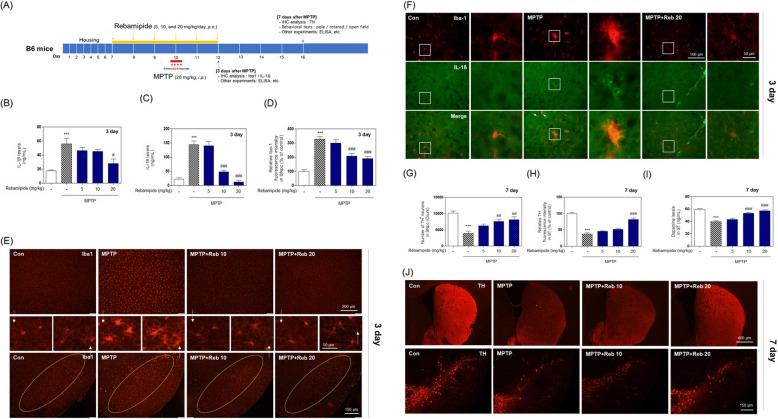https://cdn.ncbi.nlm.nih.gov/pmc/blobs/b842/12085015/b4df34e5db37/12974_2025_3461_Fig2_HTML.jpg