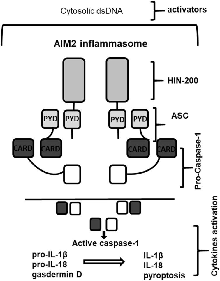 https://cdn.ncbi.nlm.nih.gov/pmc/blobs/b845/7505743/1a3fd6c34429/gr3_lrg.jpg