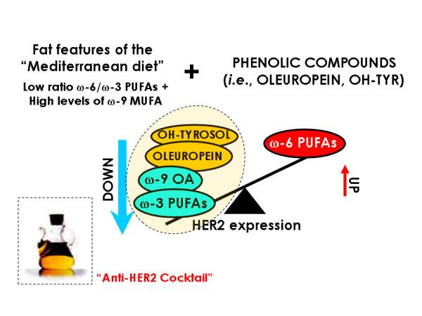 https://cdn.ncbi.nlm.nih.gov/pmc/blobs/b846/1878493/30dff1a03867/1471-2407-7-80-9.jpg