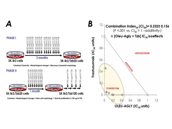https://cdn.ncbi.nlm.nih.gov/pmc/blobs/b846/1878493/80c39f3e279c/1471-2407-7-80-6.jpg