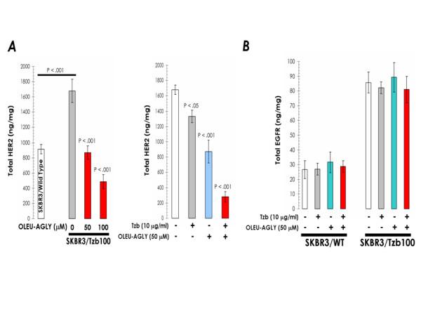 https://cdn.ncbi.nlm.nih.gov/pmc/blobs/b846/1878493/c0dee38a3534/1471-2407-7-80-7.jpg