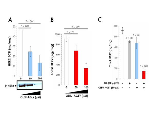 https://cdn.ncbi.nlm.nih.gov/pmc/blobs/b846/1878493/cd0bc3249543/1471-2407-7-80-5.jpg