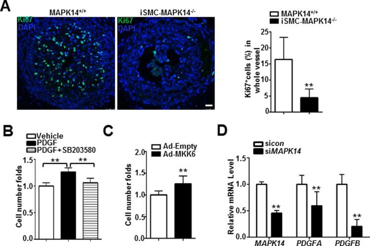 https://cdn.ncbi.nlm.nih.gov/pmc/blobs/b847/6377391/03b52cd862ca/gr4.jpg