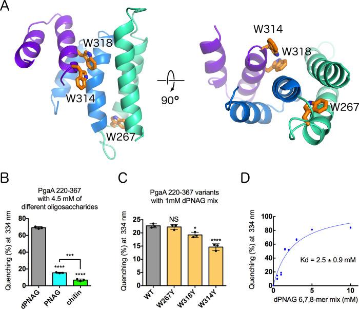 https://cdn.ncbi.nlm.nih.gov/pmc/blobs/b847/9384988/36448f7d0db7/ppat.1010750.g004.jpg