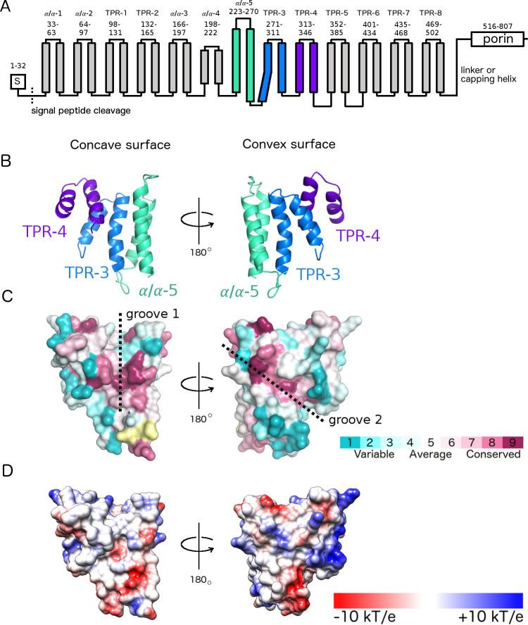 https://cdn.ncbi.nlm.nih.gov/pmc/blobs/b847/9384988/4c1d7bf27f5a/ppat.1010750.g003.jpg