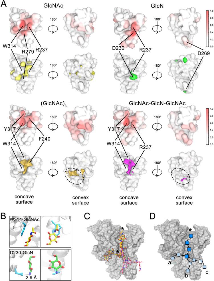 https://cdn.ncbi.nlm.nih.gov/pmc/blobs/b847/9384988/5a5d664ba841/ppat.1010750.g005.jpg
