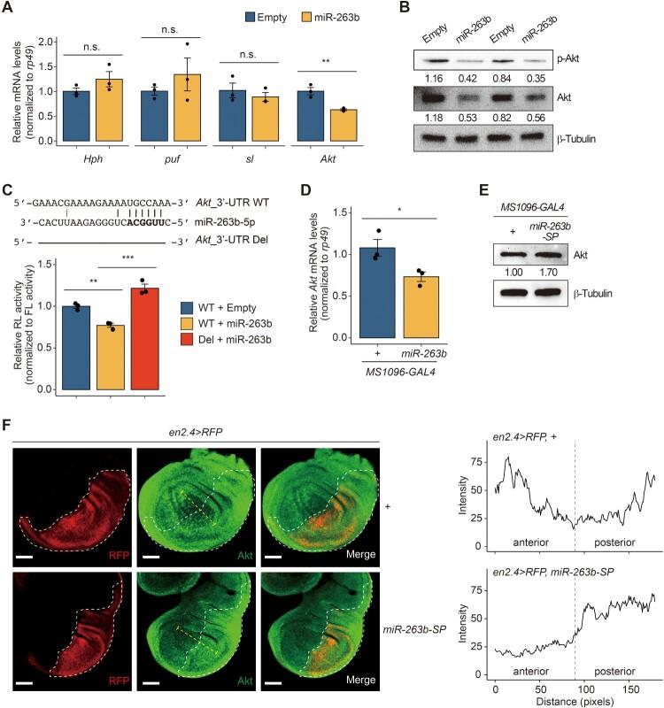 https://cdn.ncbi.nlm.nih.gov/pmc/blobs/b848/11703049/24786d0d17c2/TACS_A_2444366_F0003_OC.jpg