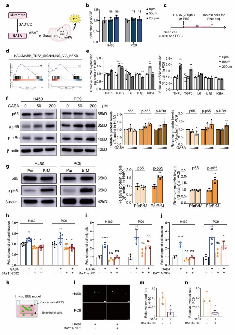 https://cdn.ncbi.nlm.nih.gov/pmc/blobs/b84a/11837350/42da013b8c9c/13046_2025_3315_Fig3_HTML.jpg