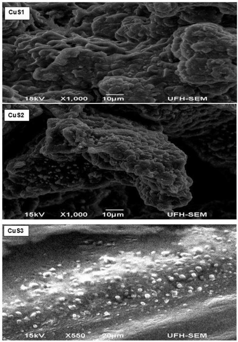 https://cdn.ncbi.nlm.nih.gov/pmc/blobs/b84b/5333017/79141a48cb61/nanomaterials-07-00032-g005.jpg