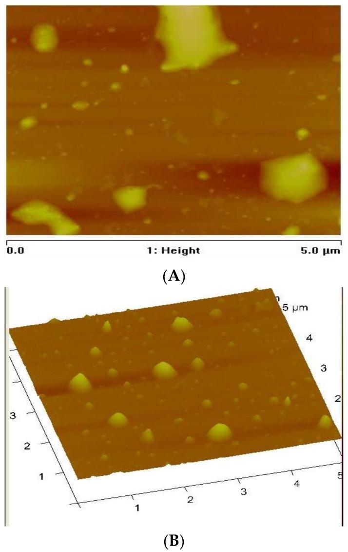 https://cdn.ncbi.nlm.nih.gov/pmc/blobs/b84b/5333017/86e7cdfabb68/nanomaterials-07-00032-g006.jpg