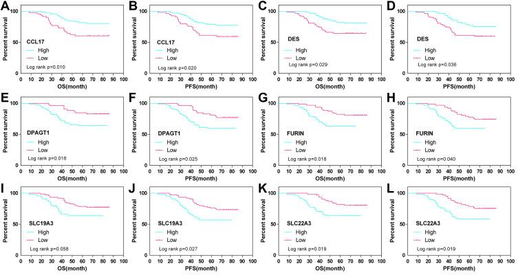 https://cdn.ncbi.nlm.nih.gov/pmc/blobs/b850/7873033/821dbcf5f18a/OTT-14-809-g0006.jpg