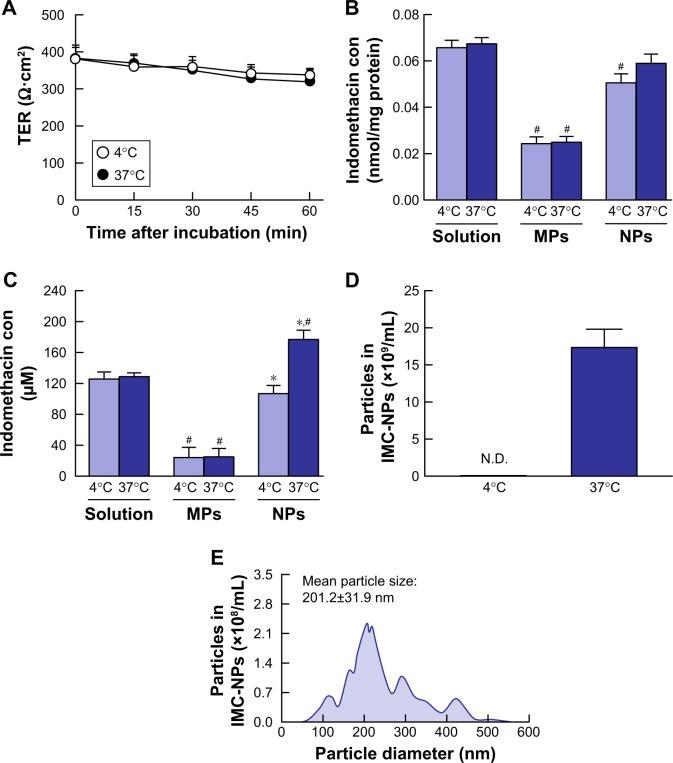 https://cdn.ncbi.nlm.nih.gov/pmc/blobs/b851/6391158/2259429b161a/ijn-14-1213Fig3.jpg