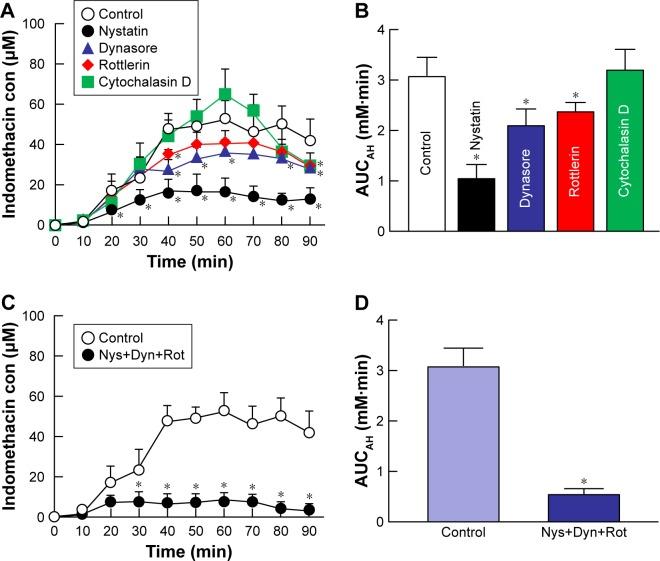 https://cdn.ncbi.nlm.nih.gov/pmc/blobs/b851/6391158/43f91b6747ee/ijn-14-1213Fig6.jpg