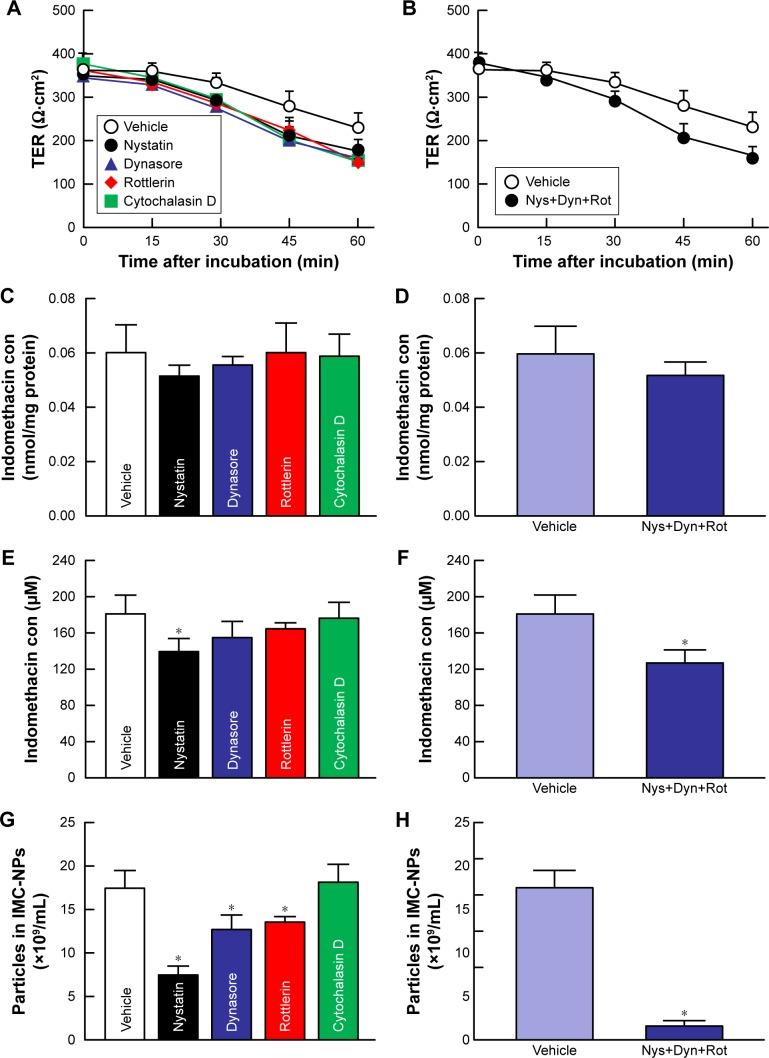 https://cdn.ncbi.nlm.nih.gov/pmc/blobs/b851/6391158/66f190422fd6/ijn-14-1213Fig4.jpg