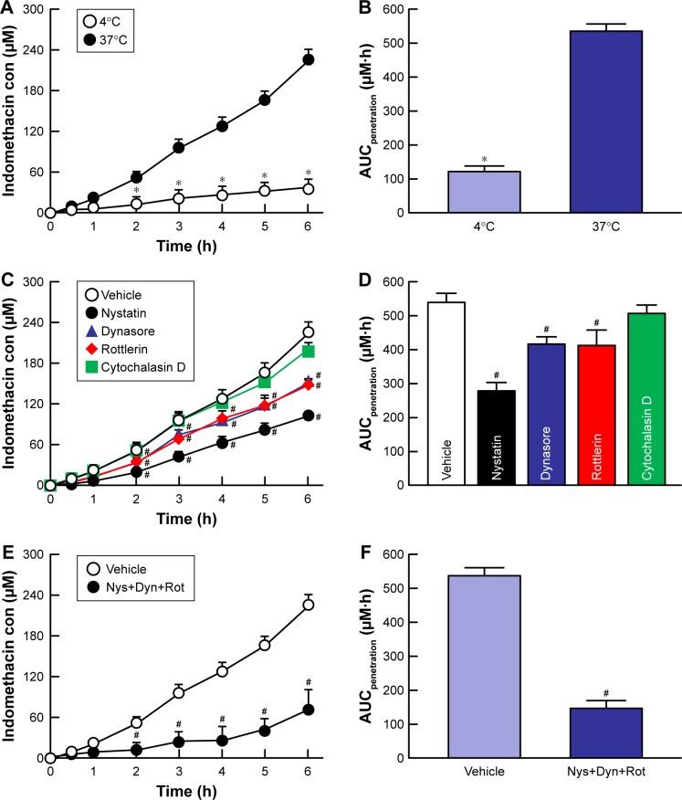 https://cdn.ncbi.nlm.nih.gov/pmc/blobs/b851/6391158/fd1d0f8b0f44/ijn-14-1213Fig5.jpg