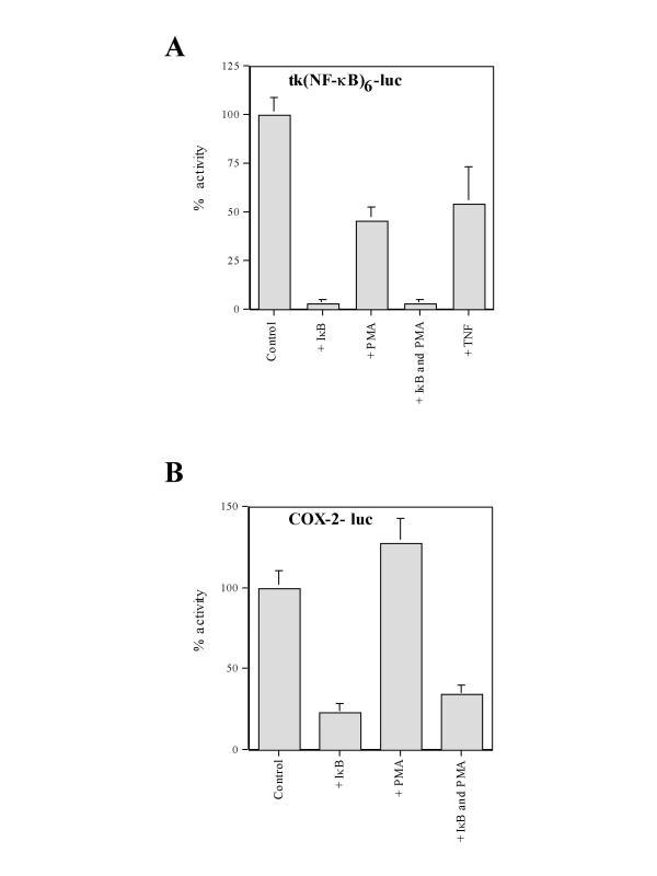 https://cdn.ncbi.nlm.nih.gov/pmc/blobs/b853/140029/4a1cb41ff322/1471-2199-3-16-7.jpg