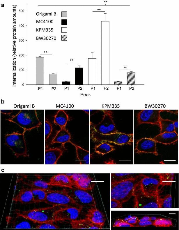 https://cdn.ncbi.nlm.nih.gov/pmc/blobs/b853/4826532/317365b19dab/12934_2016_457_Fig5_HTML.jpg