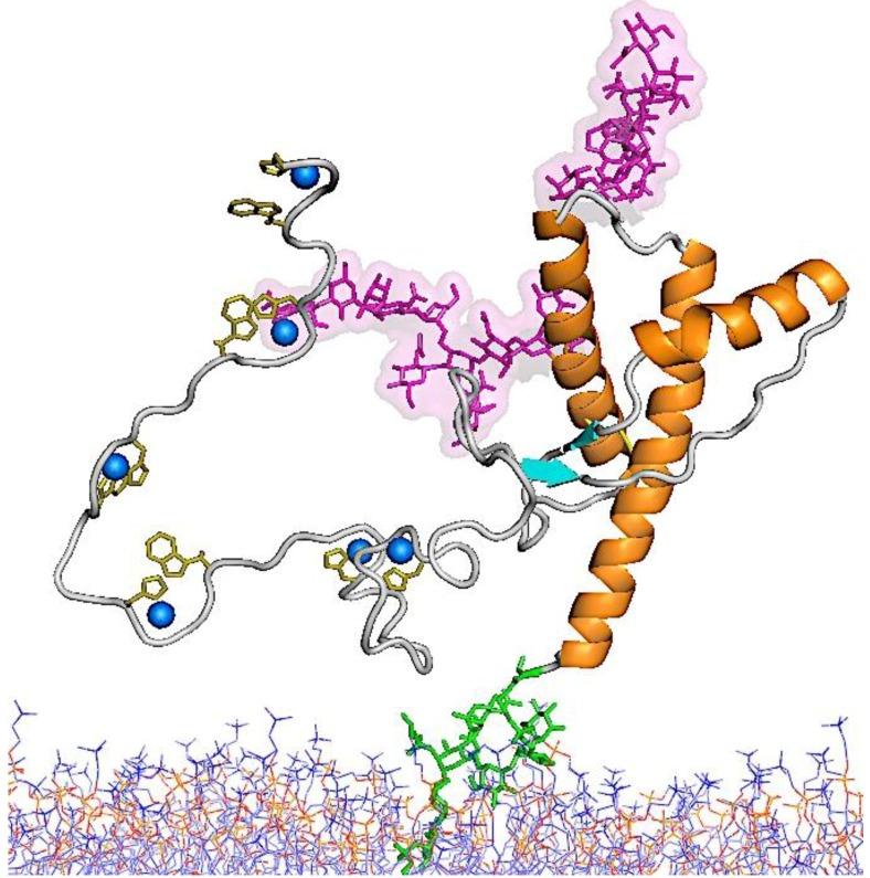 https://cdn.ncbi.nlm.nih.gov/pmc/blobs/b857/4213568/ba2d42eea683/viruses-06-03875-g003.jpg