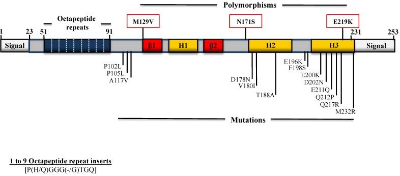 https://cdn.ncbi.nlm.nih.gov/pmc/blobs/b857/4213568/fe51fe1d4cb6/viruses-06-03875-g001.jpg