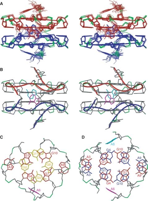 https://cdn.ncbi.nlm.nih.gov/pmc/blobs/b858/2764455/77df40ec1a97/gkp647f3.jpg
