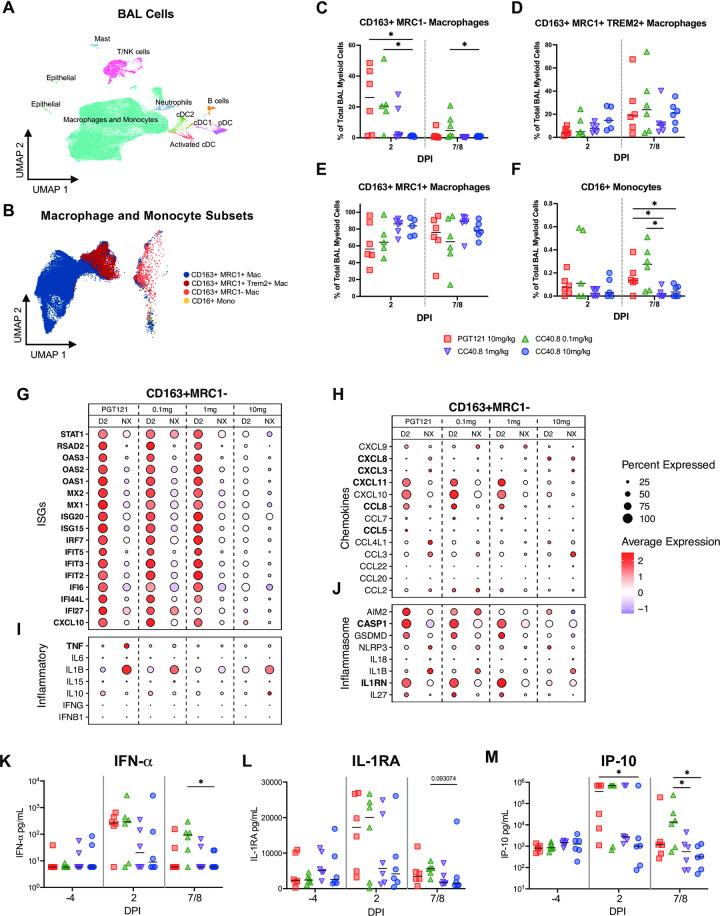 https://cdn.ncbi.nlm.nih.gov/pmc/blobs/b859/11793774/552230066229/ppat.1012456.g003.jpg