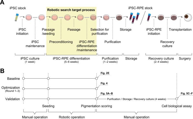 https://cdn.ncbi.nlm.nih.gov/pmc/blobs/b85d/9239686/735b25dd0205/elife-77007-fig1-figsupp1.jpg