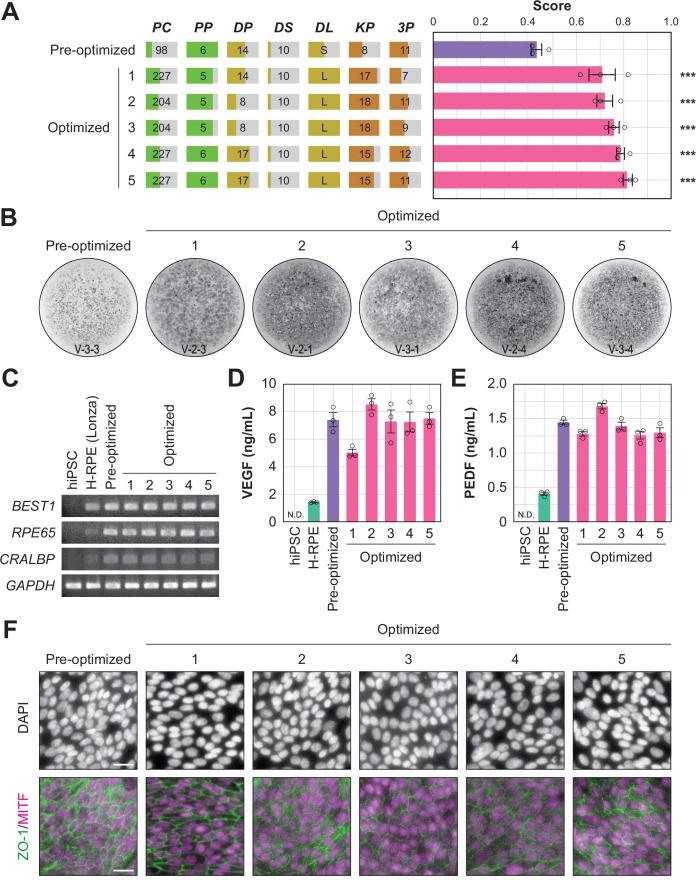 https://cdn.ncbi.nlm.nih.gov/pmc/blobs/b85d/9239686/87691926aaae/elife-77007-fig5.jpg