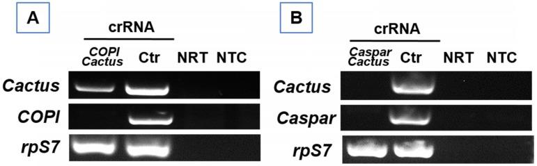 https://cdn.ncbi.nlm.nih.gov/pmc/blobs/b860/7064736/a8a369699fa4/jgenv08p0030g005.jpg