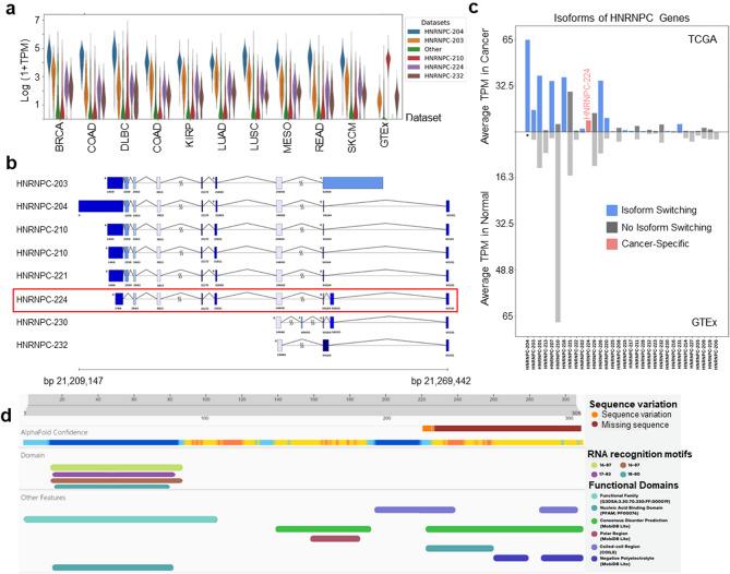 https://cdn.ncbi.nlm.nih.gov/pmc/blobs/b862/12059137/36da1f8944c4/41598_2025_817_Fig5_HTML.jpg