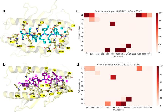 https://cdn.ncbi.nlm.nih.gov/pmc/blobs/b862/12059137/908c96a97470/41598_2025_817_Fig6_HTML.jpg