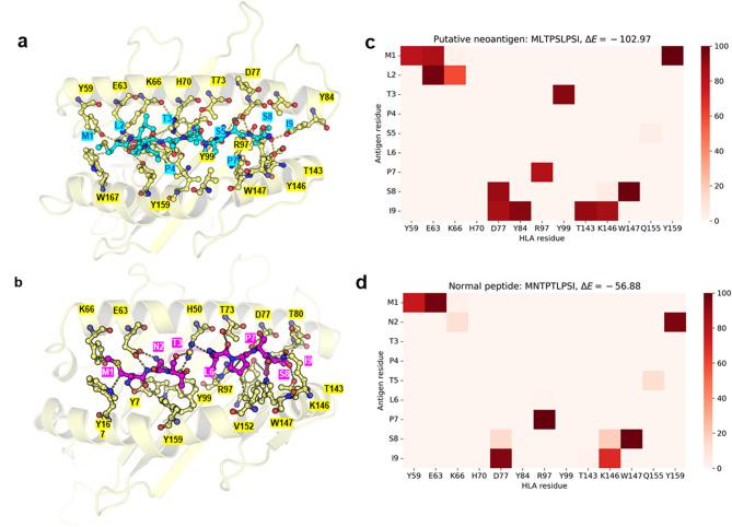 https://cdn.ncbi.nlm.nih.gov/pmc/blobs/b862/12059137/d4558c384d79/41598_2025_817_Fig2_HTML.jpg