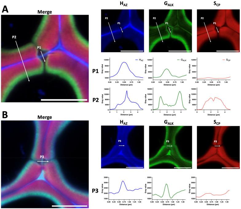 https://cdn.ncbi.nlm.nih.gov/pmc/blobs/b863/11503671/d25bc6244761/im3c00052_0005.jpg