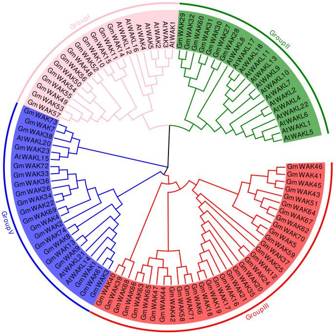 https://cdn.ncbi.nlm.nih.gov/pmc/blobs/b863/11779729/303d60a3d6d8/fpls-15-1511681-g002.jpg