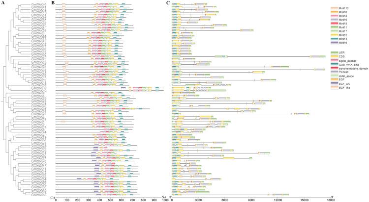 https://cdn.ncbi.nlm.nih.gov/pmc/blobs/b863/11779729/82a6c494318c/fpls-15-1511681-g003.jpg