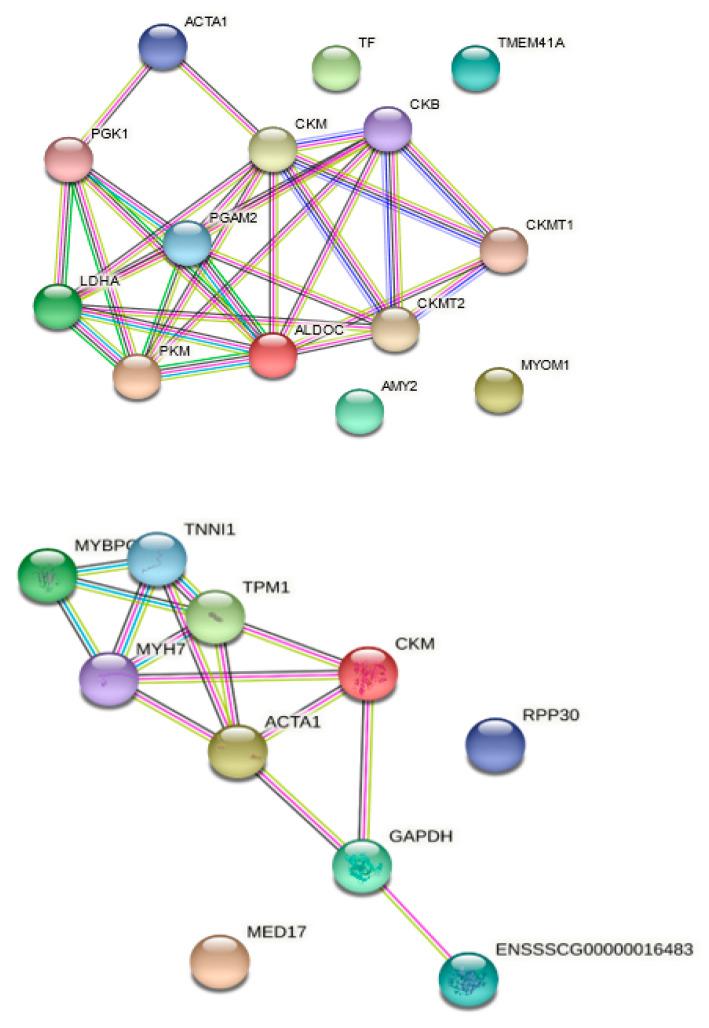 https://cdn.ncbi.nlm.nih.gov/pmc/blobs/b863/8928953/978bd2439ff0/cimb-43-00095-g001.jpg