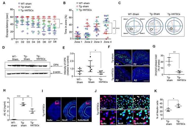https://cdn.ncbi.nlm.nih.gov/pmc/blobs/b864/8947560/6cd90df3089c/cells-11-01029-g006.jpg