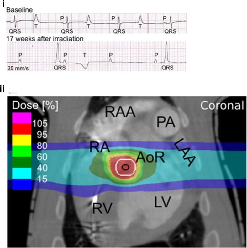 https://cdn.ncbi.nlm.nih.gov/pmc/blobs/b866/5532420/2595e52bb836/11886_2017_886_Fig2_HTML.jpg