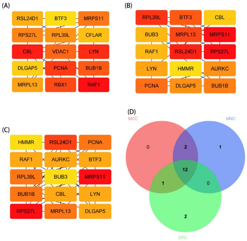 https://cdn.ncbi.nlm.nih.gov/pmc/blobs/b866/9221146/9b887a3ed8c0/brainsci-12-00774-g005.jpg